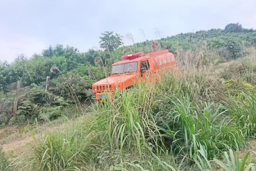 �������(q��)ɭ��������ˮ܇ԽҰ������ô��